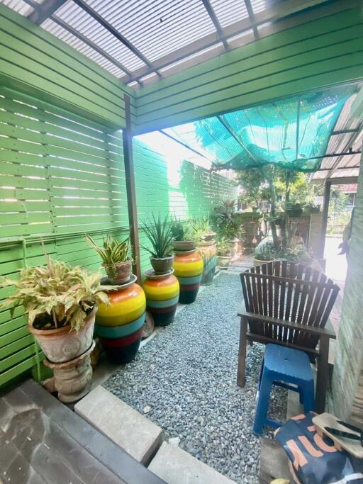 Colorful outdoor patio with potted plants