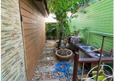 Narrow outdoor space with plants and a sink