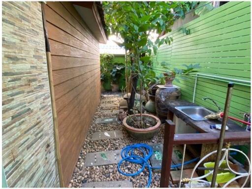 Narrow outdoor space with plants and a sink