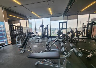 Modern gym with large windows and workout equipment