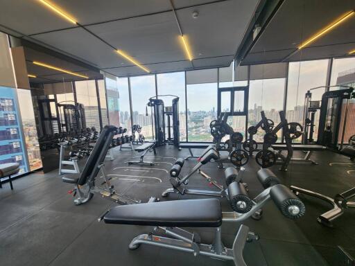 Modern gym with large windows and workout equipment