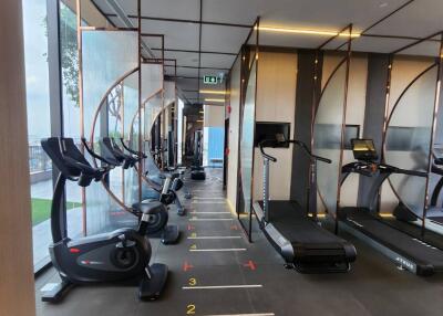 Modern gym with cardio equipment