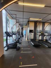 Modern gym with cardio equipment