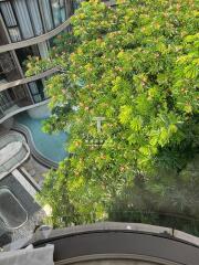 View from building showing courtyard with pool