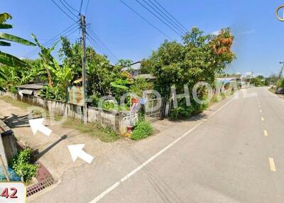 Street view of a residential area with greenery