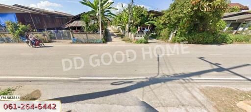 Street view of a residential area with houses and greenery