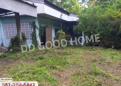 Abandoned exterior view of a building covered with overgrown vegetation