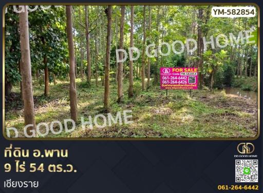 For sale land plot