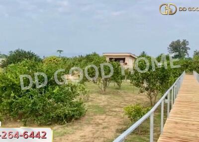 Expansive garden area with a view of a small building in the distance