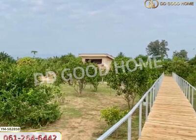 Walkway leading to a small house surrounded by greenery