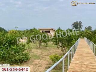 Walkway leading to a small house surrounded by greenery