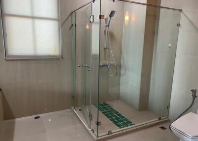 Modern bathroom with a glass-enclosed shower and window