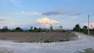 Scenic Affordable Land in San Sai, Chiang Rai