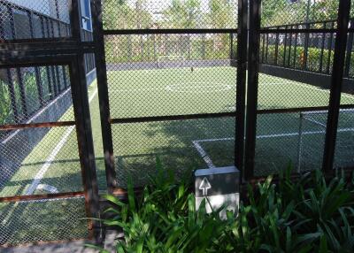 Enclosed outdoor sports area with synthetic turf