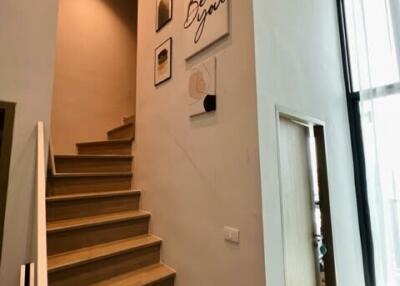 Staircase with modern decor and tall ceiling window