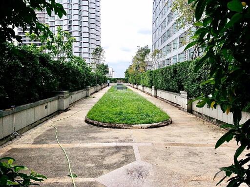 Outdoor garden space with greenery and a walking path