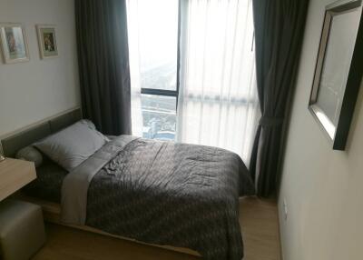 Condo for Sale, Sale w/Tenant at IDEO O2 Bangna