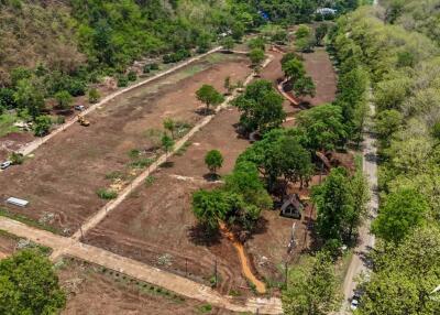 Chiang Dao Land Plots for Sale – Embrace Nature and Tranquility