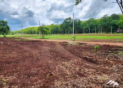 Chiang Dao Land Plots for Sale – Embrace Nature and Tranquility