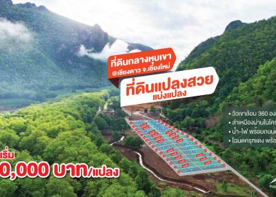 ขายที่ดินเชียงดาว – โอบกอดธรรมชาติและความเงียบสงบ