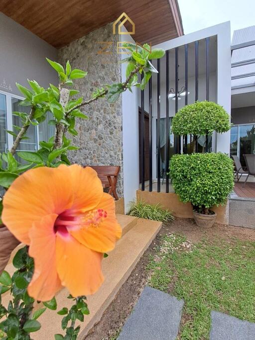 Modern Villa with 4 Bedrooms in Bangtao for Rent