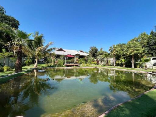 Serene garden with a pond and lush greenery