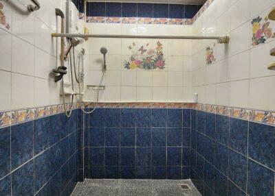 Bathroom with blue and white tiles and shower