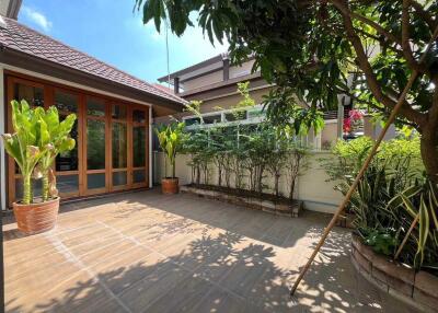 Sunlit outdoor patio with greenery