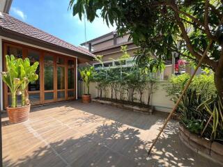 Sunlit outdoor patio with greenery