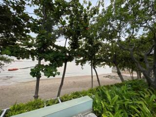 Scenic beach view with trees and greenery