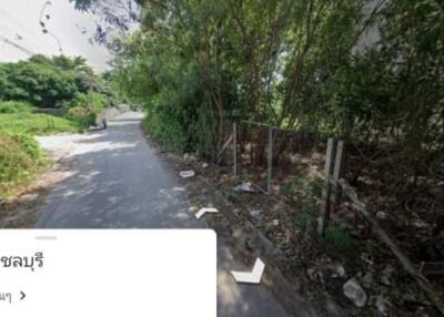 Street view of a residential area surrounded by greenery