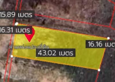 Plot measurement overlay