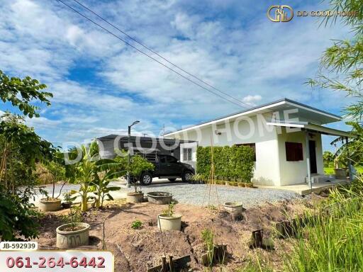 Single-story house exterior with driveway and garden