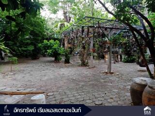 Spacious garden area with various plants and trees