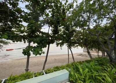 Beachfront view with trees and ocean