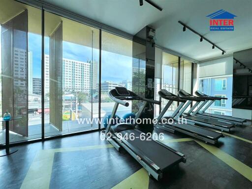 Modern gym with treadmills and large windows