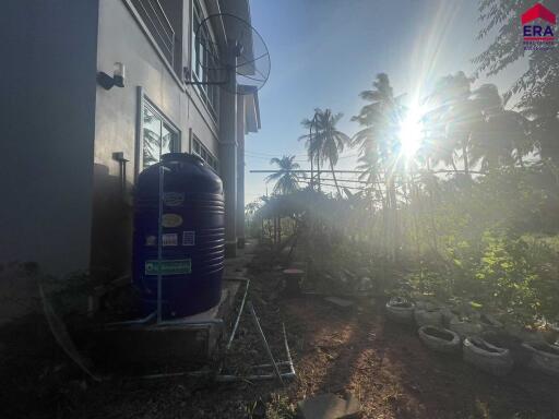 Backyard with garden and water tank