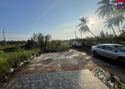 Front yard with trees, plants, and parked cars