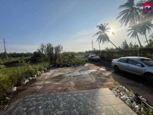 Front yard with trees, plants, and parked cars