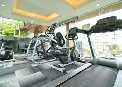 Modern residential gym with various cardio equipment and large windows