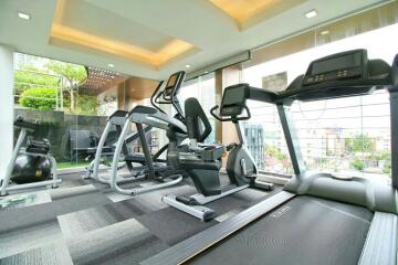 Modern residential gym with various cardio equipment and large windows