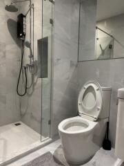 Modern bathroom with shower and toilet