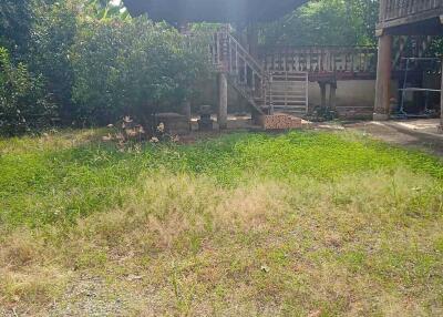 Outdoor garden with a gazebo