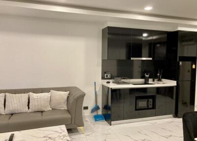 Living area with modern kitchenette and sofa