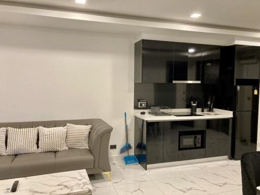 Living area with modern kitchenette and sofa