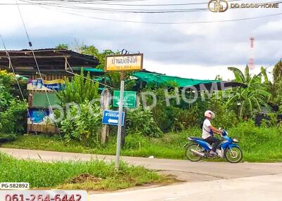 Exterior road view of property area