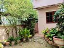 Outdoor garden with plants and air conditioning units