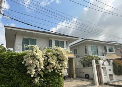 Exterior view of modern house with garden