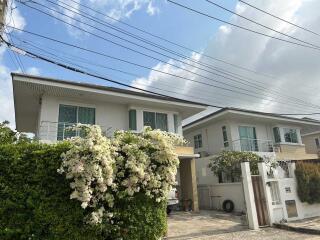 Exterior view of modern house with garden