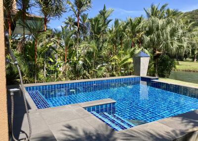 Swimming pool surrounded by tropical plants and trees